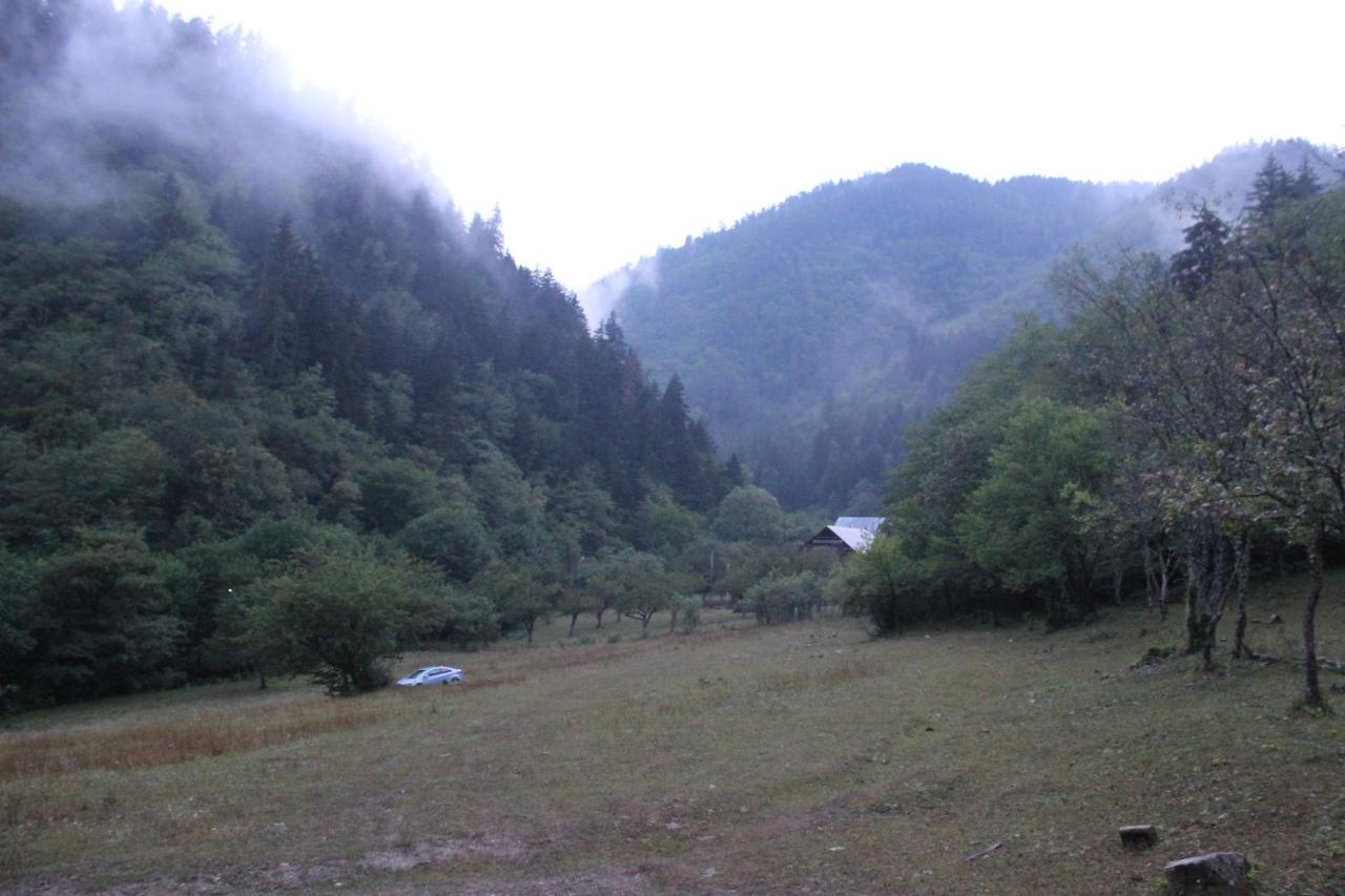 Cozy House In The Forest Borjomi Exterior foto